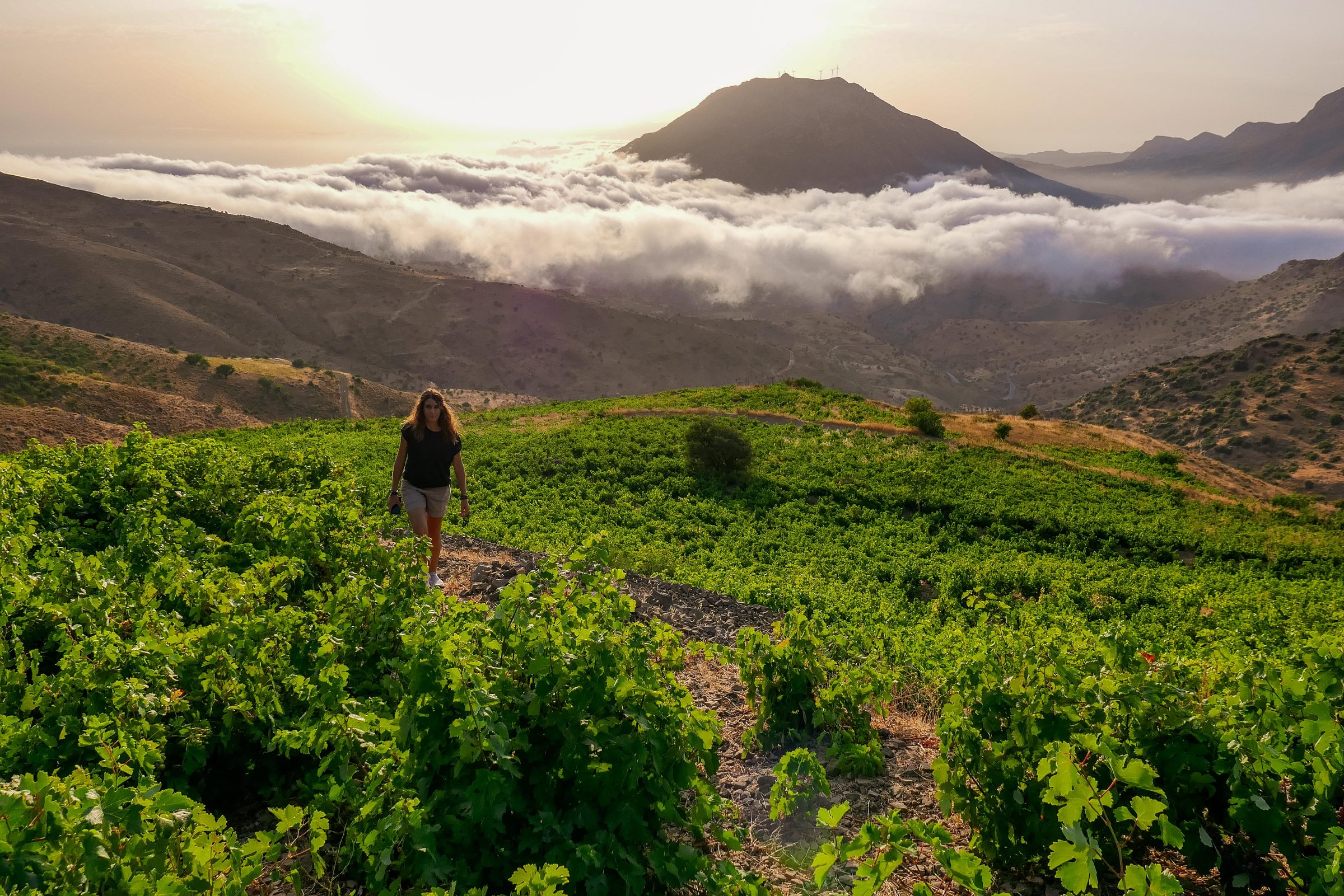 Iliana Malíhin in her vineyards in Crete